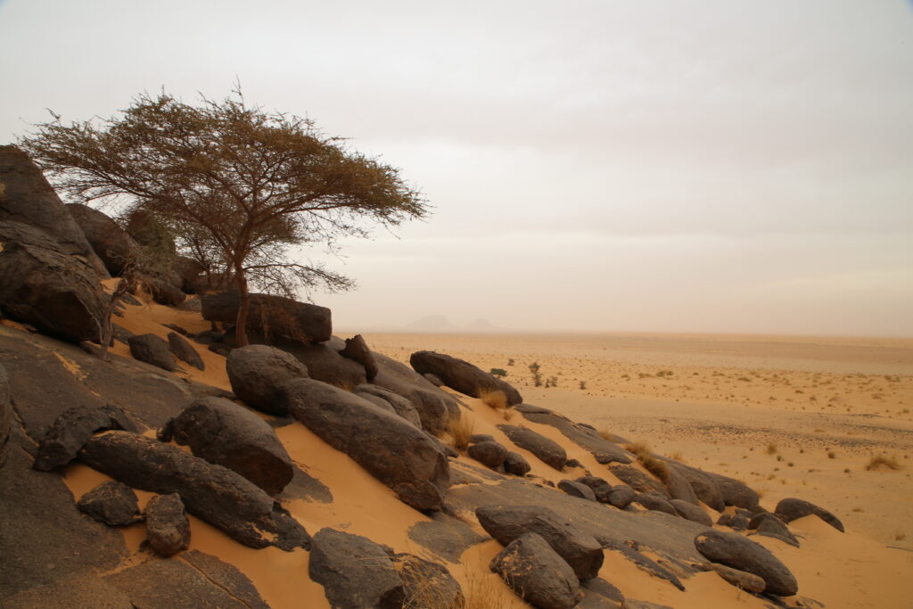 monolithe de ben amira (mauritanie). vue du désert environnant.