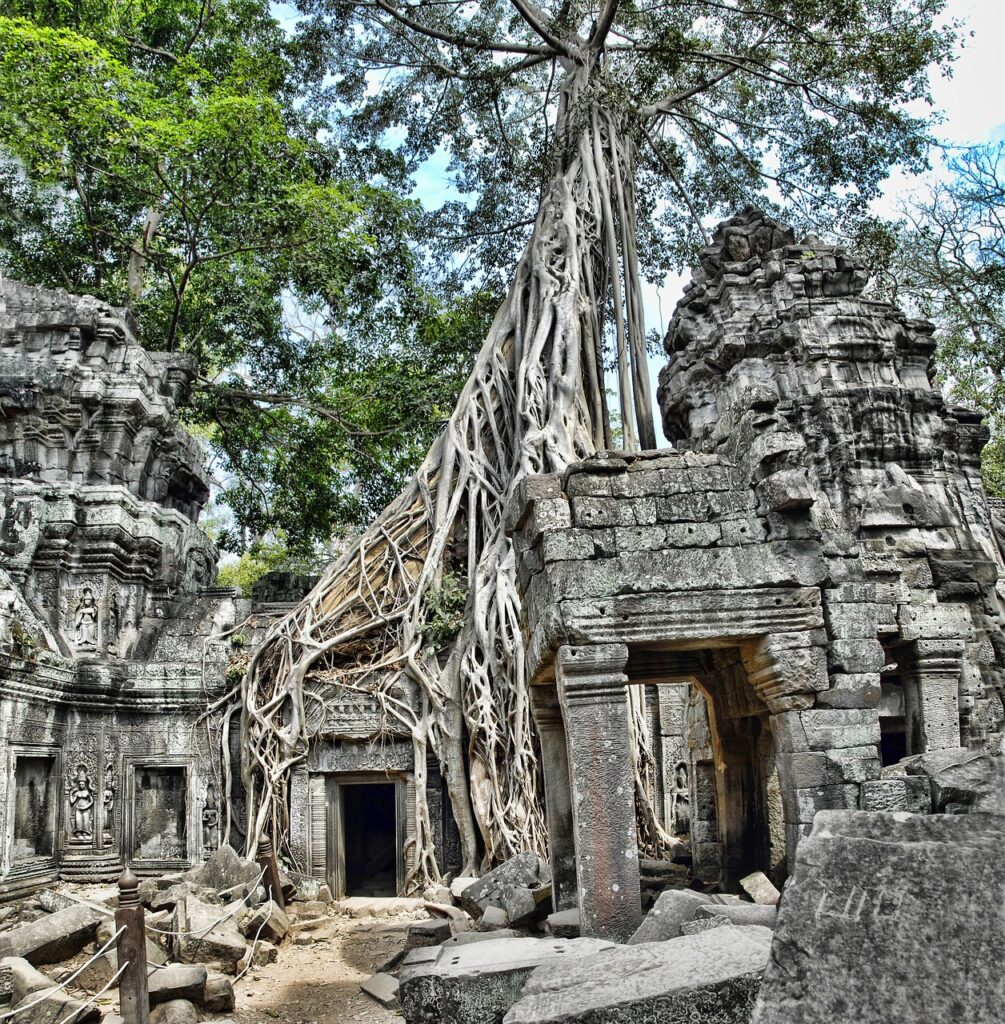 ta prohm, cambodia, angkor, nature, wat, tourism, architecture, travel, landmark, ancient, ruin, tree
