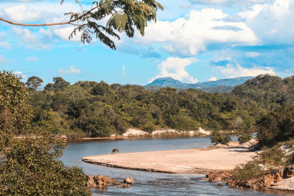 A serene river bend with lush greenery and a horse grazing near Diamantina, Brazil.