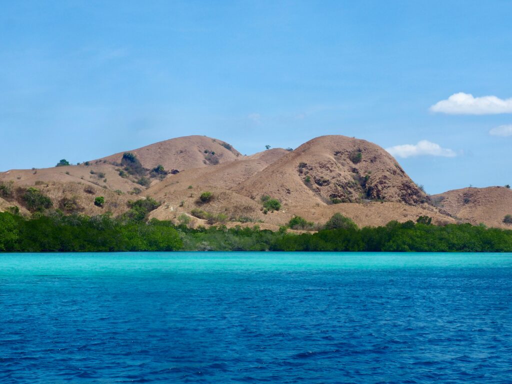 Captivating landscape of Komodo Island featuring vibrant blue ocean and rugged hills under a clear sky.