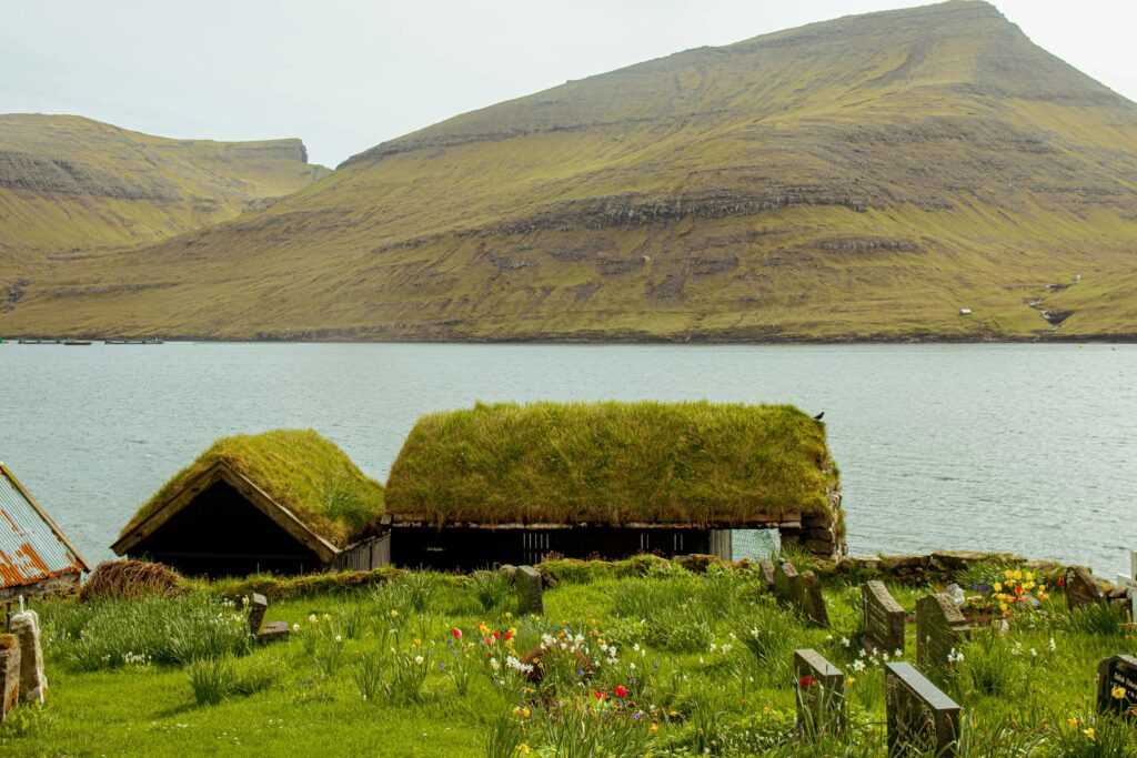 Beautiful grass roof houses by a serene fjord in the Faroe Islands, perfect for travel inspiration.