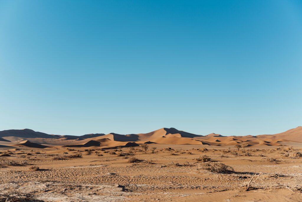 Explore the expansive sand dunes under a clear blue sky in Namibia
