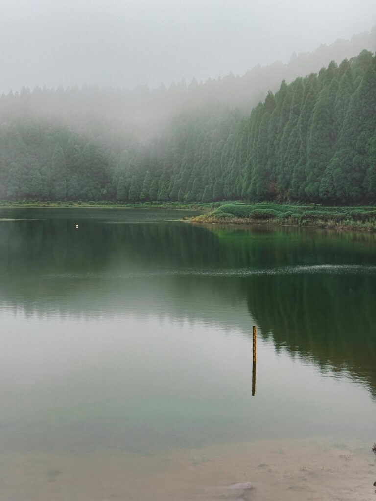 A tranquil misty landscape of a lake bordered by lush green trees, capturing the serene beauty of the Azores.