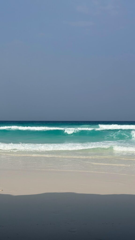 Discover the pristine beauty of Socotra with turquoise waves and untouched sandy shores.