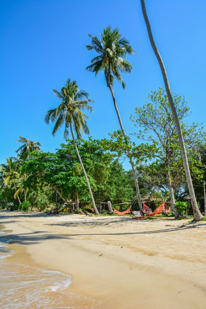 Palm-lined tropical beach with hammocks and clear blue sky on Ko Mak Island, Thailand.