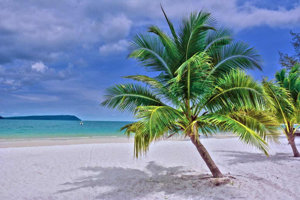 Serene tropical beach in Cambodia featuring lush palm trees and white sand.