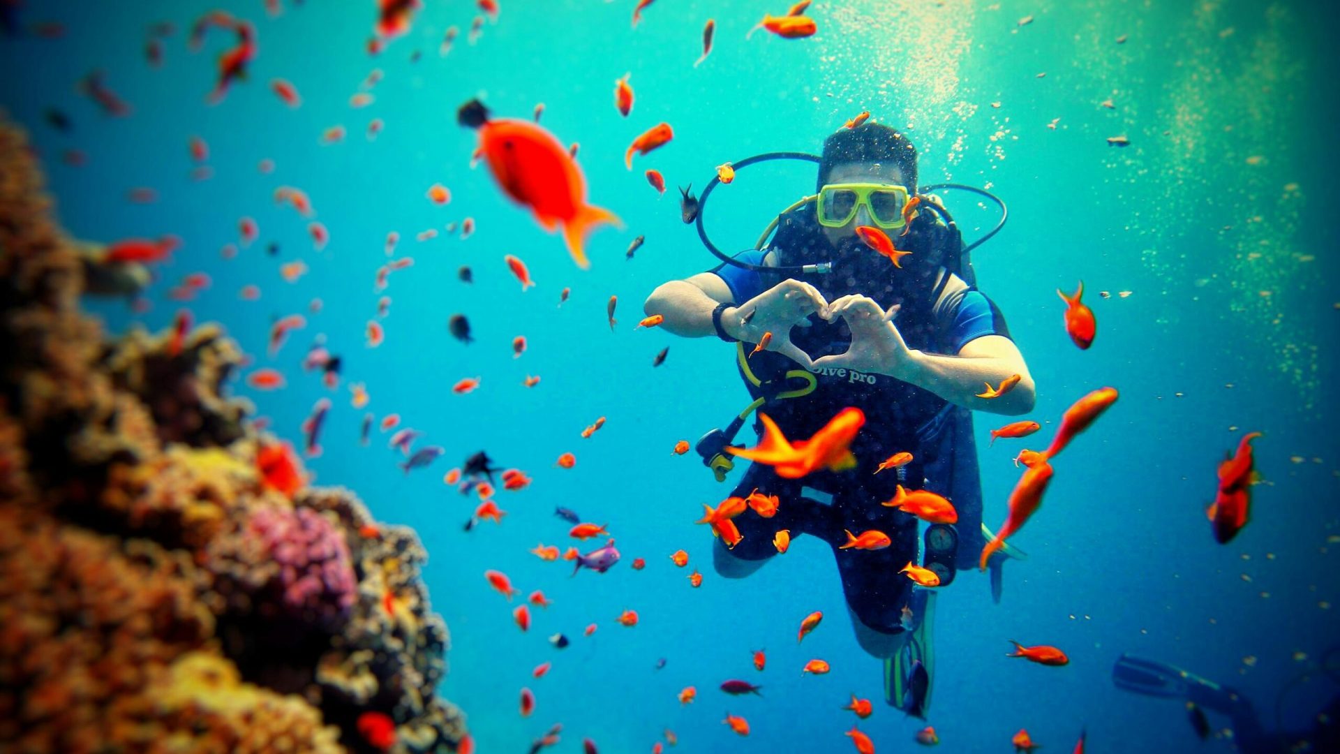 Diver surrounded by colorful fish and coral reef, capturing underwater adventure.