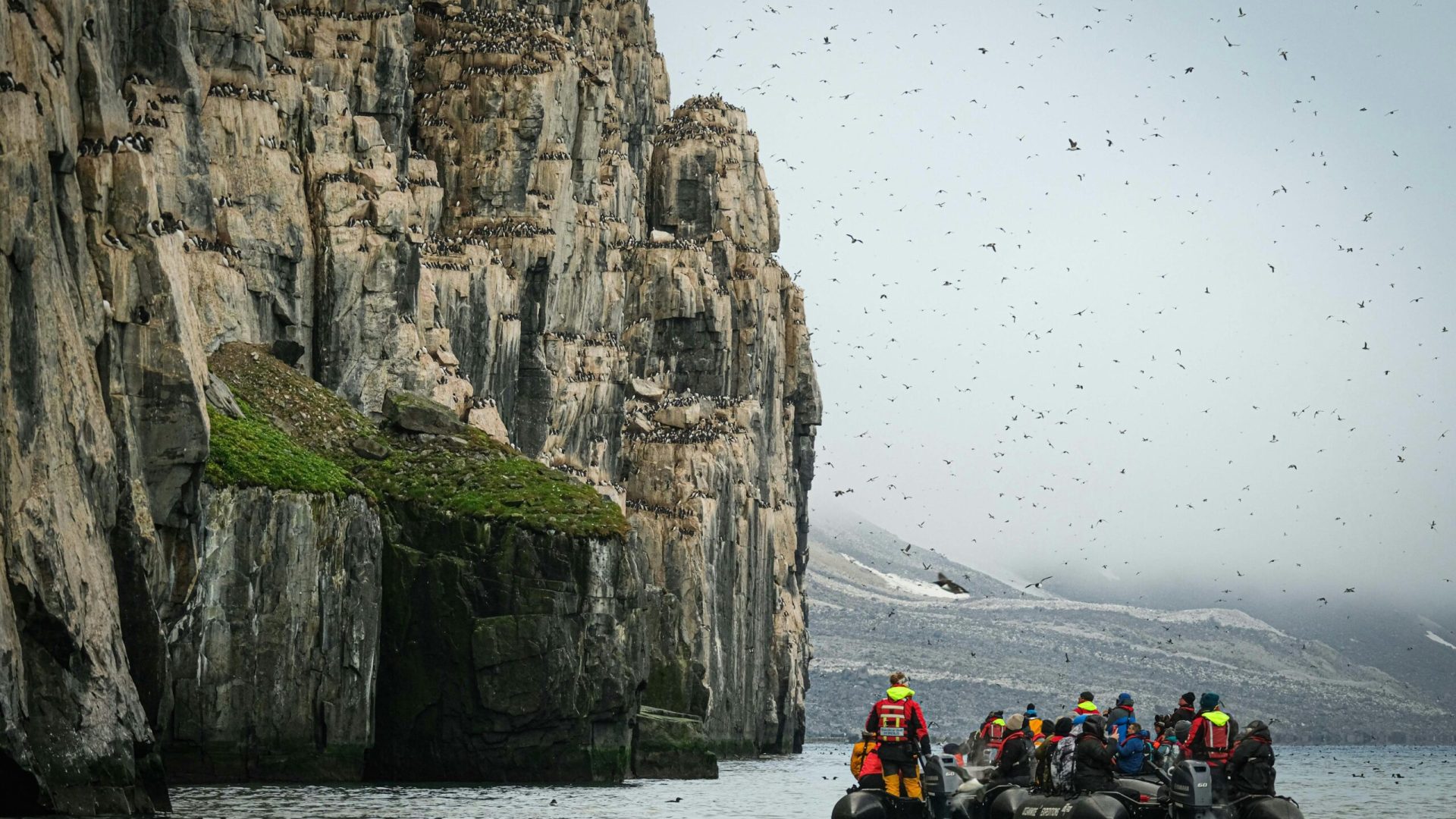 Visitors in boats observe seabirds on steep cliffs in an Arctic landscape.
